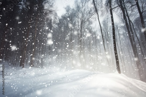 Snow Falling in a Dense, Wintery Forest