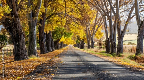 Autumn_Tree_Beautiful_scenery_road_background