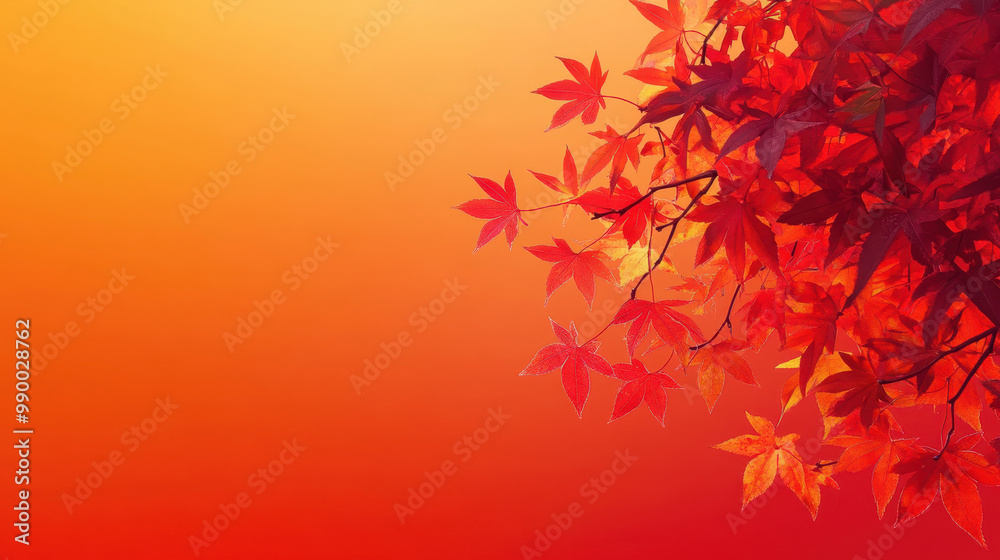 Beautiful maple leaves in autumn sunny day in foreground and blurry background in Kyushu, Japan. No people, close up, copy space, macro shot. Beautiful maple leaves in autumn sunny day in foreground and blurry background in Kyushu, Japan. No people, close up, copy space, macro shot.