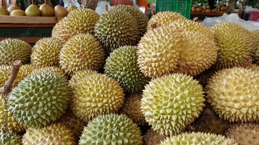 A pile of durians displayed in a market setting, their distinctive spiky shells creating a textured, exotic scene. A pile of durians displayed in a market setting, their distinctive spiky shells creating a textured, exotic scene.