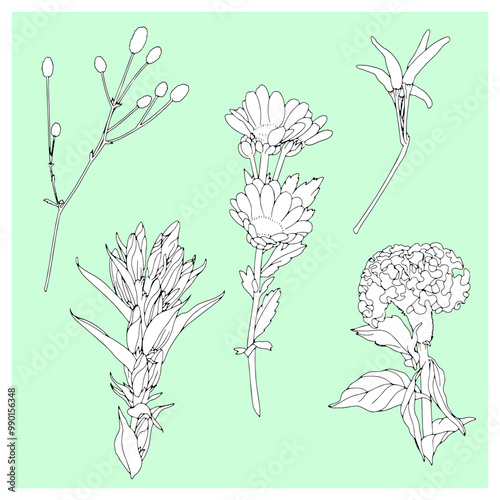 秋の花のイラストセット　一つ一つの花でグループ化しています