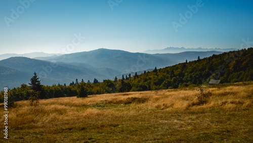 Fototapeta Naklejka Na Ścianę i Meble -  Beskid Wyspowy - krajobraz górski Beskidów