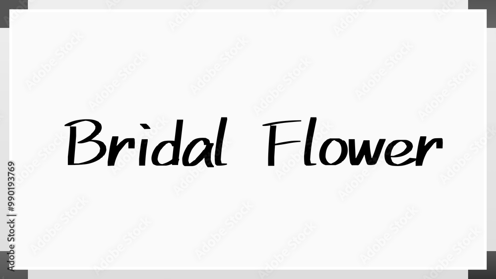 Bridal Flower のホワイトボード風イラスト Bridal Flower のホワイトボード風イラスト