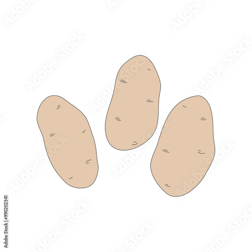 potato, Illustration of vegetable, isolated, icon illustration