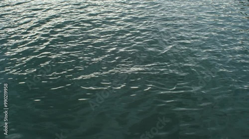 自然の模様を生み出す水面 Water surface that creates natural patterns