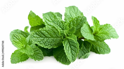 Fresh Green Mint Leaves - Aromatic Herb for Culinary & Medicinal Uses