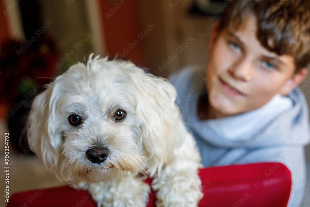 Happy teenager boy and cute maltese puppy together. Handsome child holding his dog at home, hugging. Pet love, family dog.