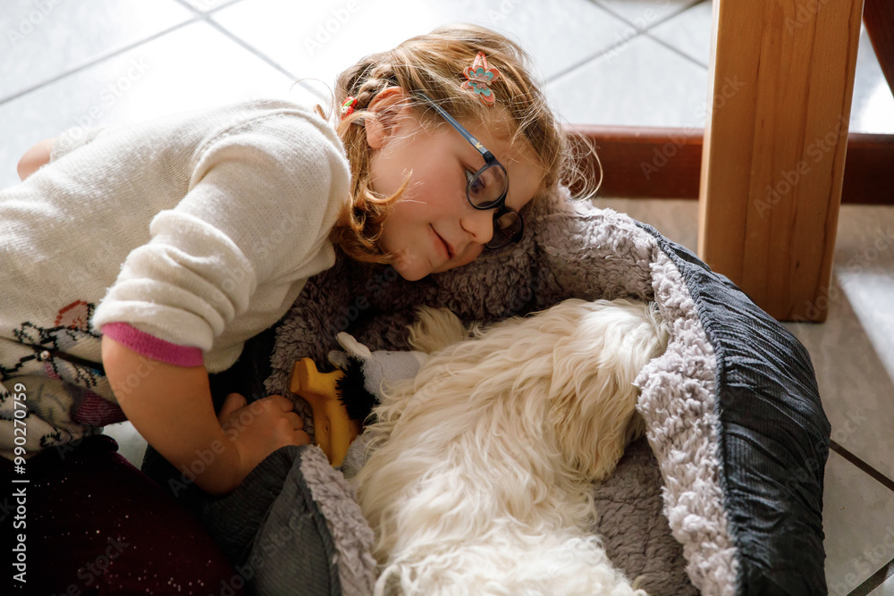 Little girl playing with her pet dog Maltese at home. Happy child and cute puppy. Love, friendship, family animal. Little girl playing with her pet dog Maltese at home. Happy child and cute puppy. Love, friendship, family animal.