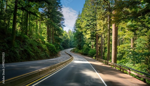 Scenic Curved Road Through Lush Green Forest