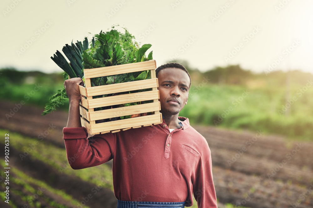Agriculture Thinking And Box With Black Man In Countryside For 
