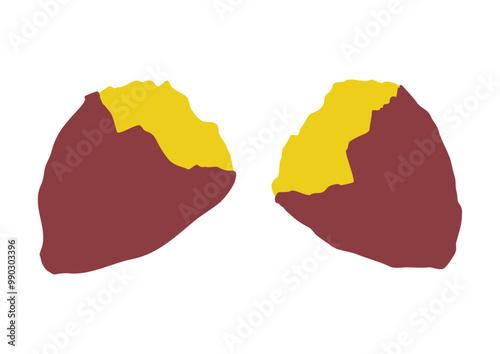 半分に割ったさつまいも（焼き芋）のベクターイラスト