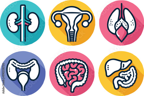 Vector illustration of six human internal organs icon art