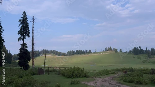 Kupwara and doodpathri Budgam kashmir looks same beautiful and attractive destination wast rangeland and green fields Clip 57 photo