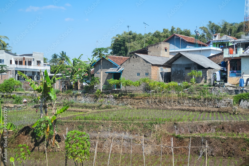 Peaceful rural village in West Java with diverse houses nestled among lush green vegetation and terraced fields under a clear blue sky, showcasing serene countryside beauty.