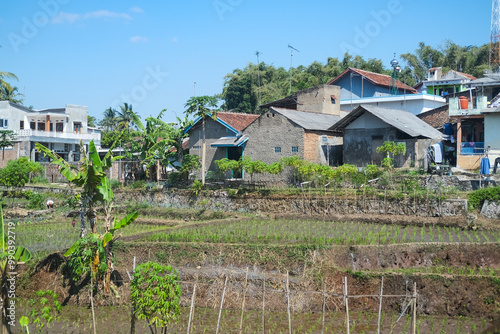Obraz na płótnie Peaceful rural village in West Java with diverse houses nestled among lush green vegetation and terraced fields under a clear blue sky, showcasing serene countryside beauty. w salonie