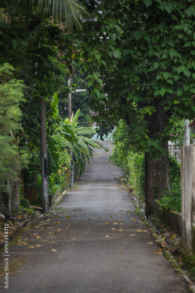 Foliage covered walkway in the backlane. Green city concept. Township planning. Foliage covered walkway in the backlane. Green city concept. Township planning.