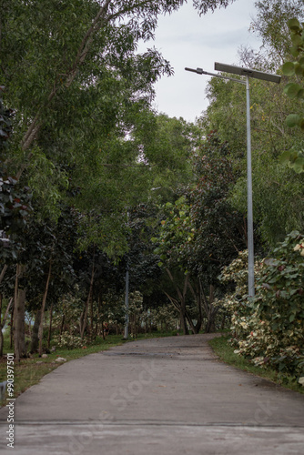 Foliage covered walkway in the backlane. Green city concept. Township planning. photo