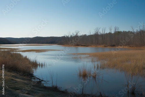 Impact of Storm Showers on Arkansas Parkways and Lakes During Frost Months Addressing Climate Change and Ecological Issues