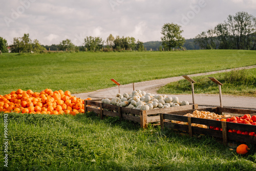  A roadside stand in Bavaria during autumn featuring crates of pumpkins, squash, and produce against a rural landscape. photo