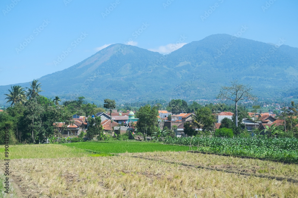 A stunning view of lush green rice fields with a majestic mountain in the background, captured during a train journey through West Java, Indonesia, under a bright blue sky