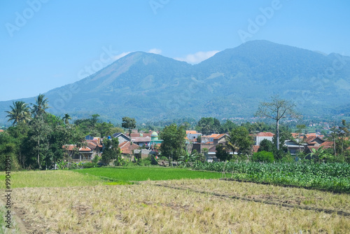 Obraz na płótnie A stunning view of lush green rice fields with a majestic mountain in the background, captured during a train journey through West Java, Indonesia, under a bright blue sky w salonie