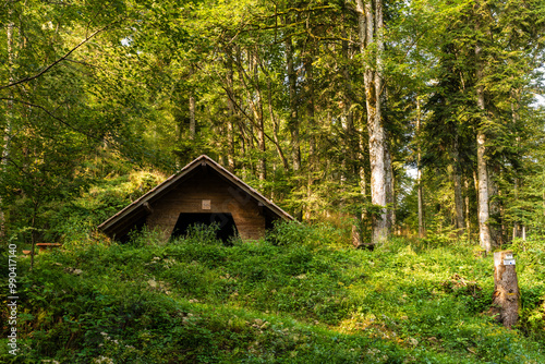 Refuge rustique au cœur de la forêt vosgienne, Vosges, France