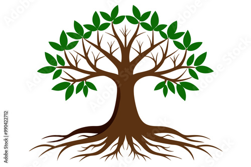 simple and modern trees natural logo illustration , Oak tree vector isolated on white background. Nature or forest symbol icon. 