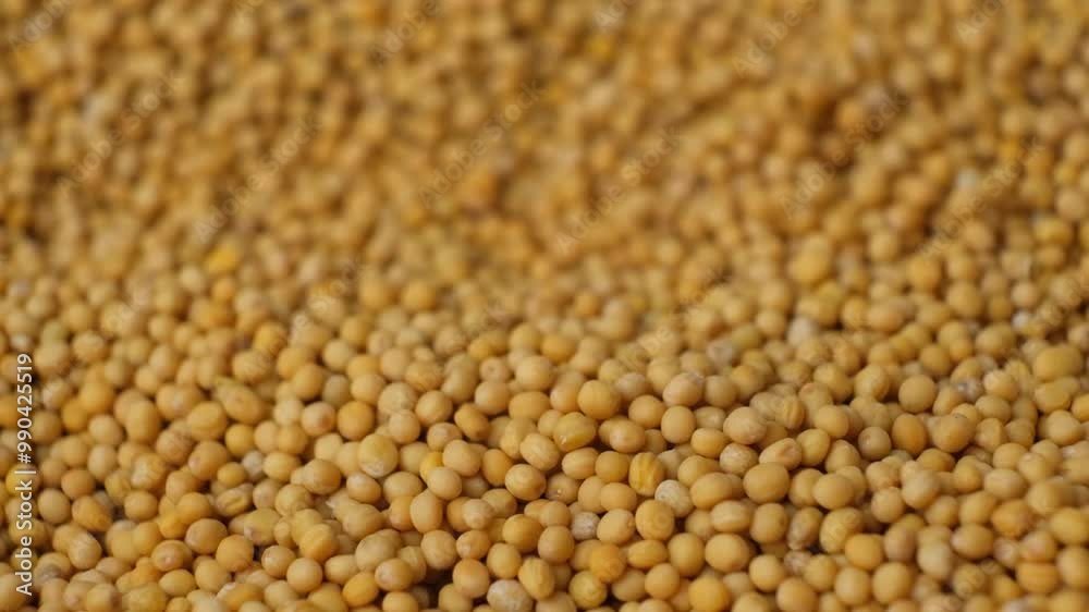 Mustard seeds falling on a pile slow motion Mustard seeds falling on a pile slow motion