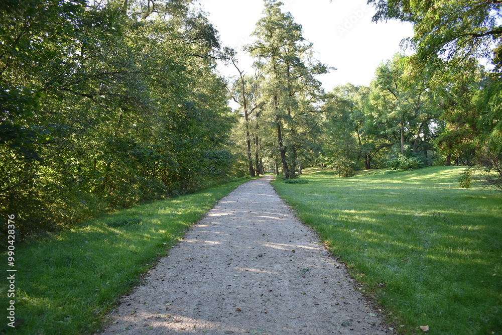 Fototapeta premium Spaziergang am Fachweiher