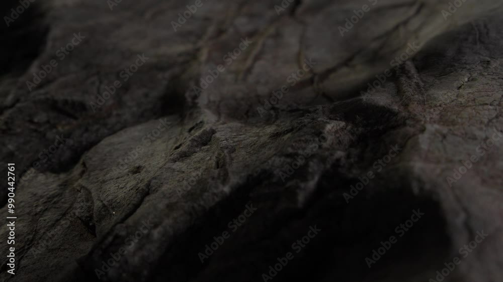 Close-up of Dark Textured Rock Formation. shallow dof. Close-up of Dark Textured Rock Formation. shallow dof.