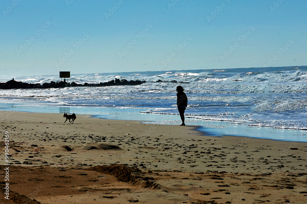 Two people walking along a sandy beach in Cádiz with a dog and a surfboard, enjoying the waves and peaceful atmosphere on a sunny day by the shore Two people walking along a sandy beach in Cádiz with a dog and a surfboard, enjoying the waves and peaceful atmosphere on a sunny day by the shore
