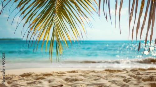 Sun Beach. Tropical Beach Landscape with Palm Tree and Blue Caribbean Sea