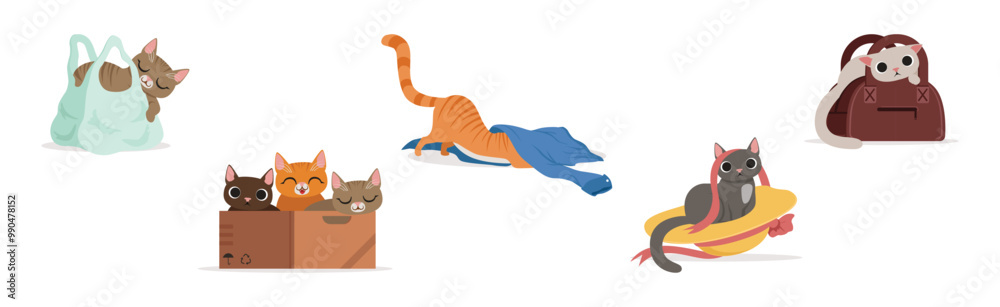 Playful Cat as Fluffy Feline with Cute Snout at Home Vector Set Playful Cat as Fluffy Feline with Cute Snout at Home Vector Set