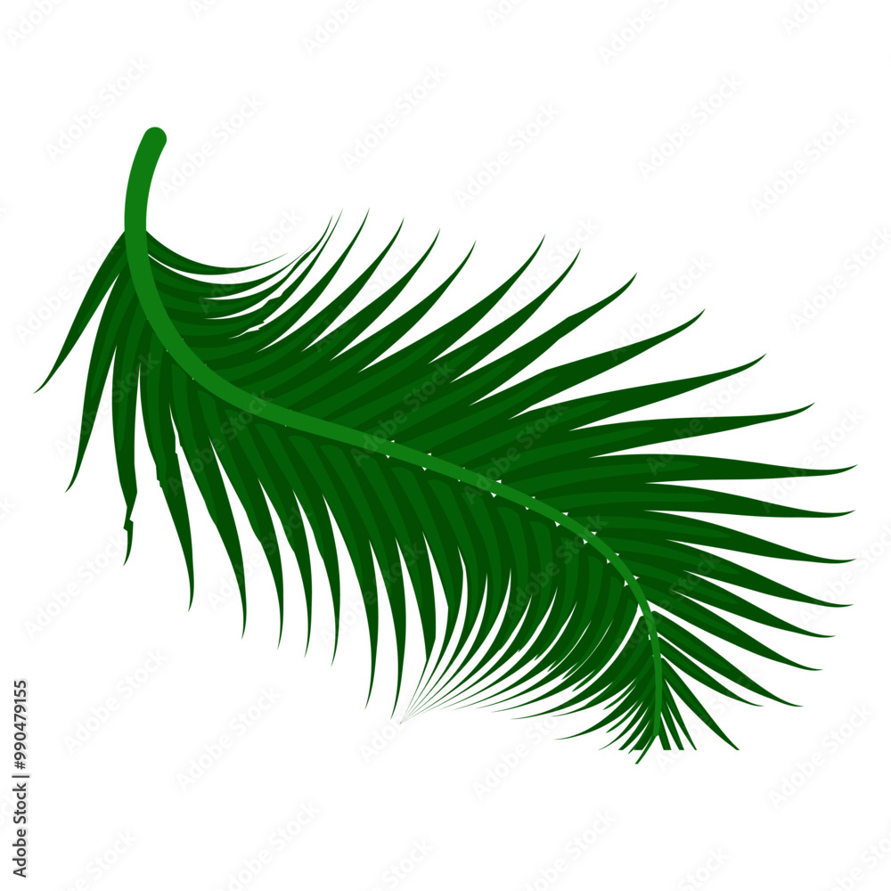 Obraz premium Make a Professional Coconut Leaf Vector
