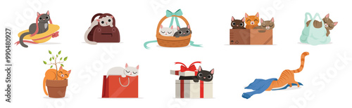 Playful Cat as Fluffy Feline with Cute Snout at Home Vector Set