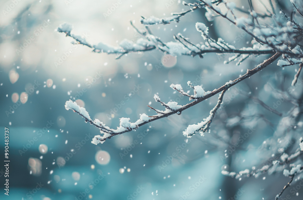 Snowy Branches in Winter Wonderland with Soft Blue and White Tones Snowy Branches in Winter Wonderland with Soft Blue and White Tones
