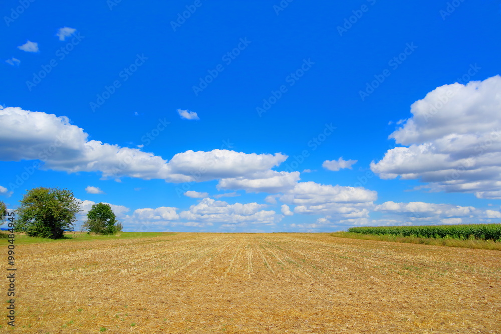 Feld mit blauem Himmel und Wolken Feld mit blauem Himmel und Wolken