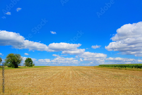 Feld mit blauem Himmel und Wolken