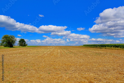 Feld mit blauem Himmel und Wolken