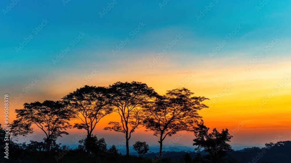 Obraz premium Silhouette of trees against a colorful sunset sky.