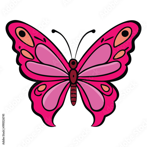 butterfly illustration