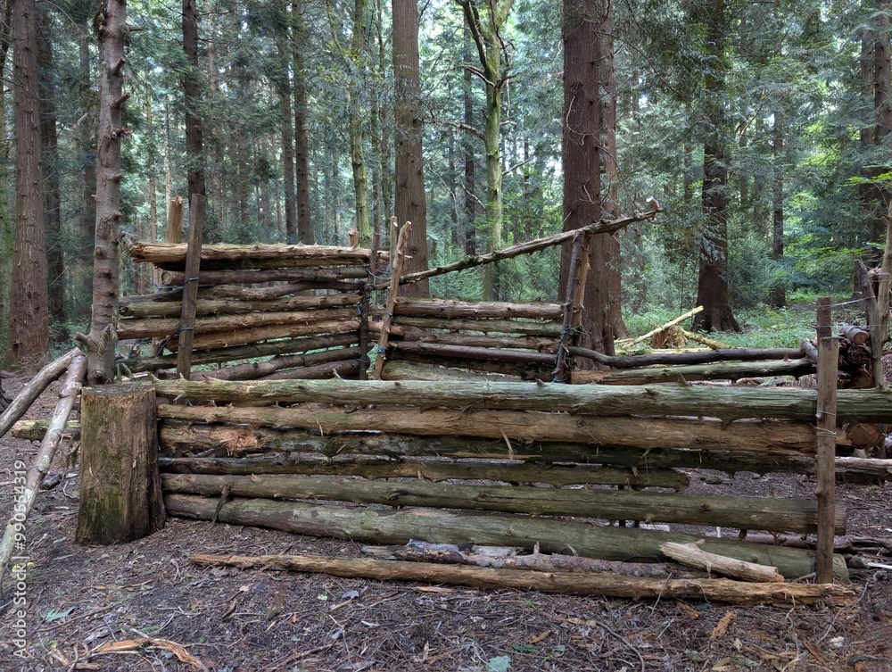 Woodland area rural England Forestry temperate Woodland area rural England Forestry temperate