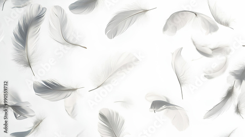 White feathers floating in the air, white feathers isolated on white background 