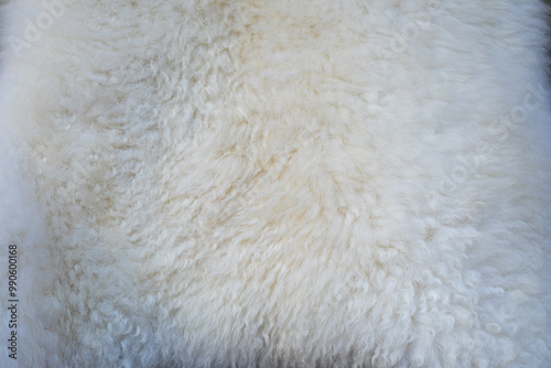 Sheep skin structure.Close up of sheep fur.