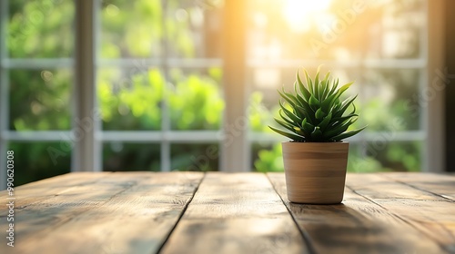 Sunny Day Table With Green Plants