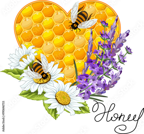 Heart made of honeycombs in illustration.Colored vector illustration with bees, lavender, daisies and a honeycomb heart on a transparent background.