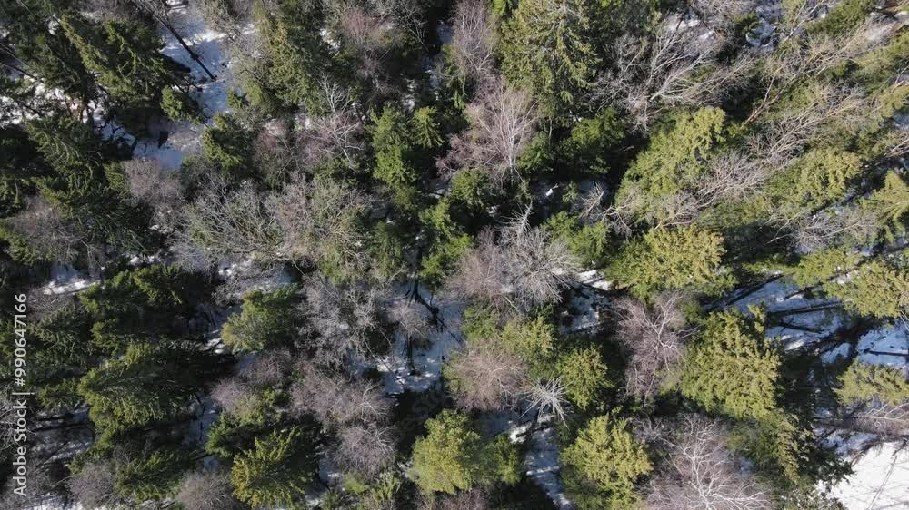 Flying over the winter almost autumn forest, aerial view from above, flying over the snow-covered winter forest where the sun shines on the trees, fallen pine trees. High quality 4k footage Flying over the winter almost autumn forest, aerial view from above, flying over the snow-covered winter forest where the sun shines on the trees, fallen pine trees. High quality 4k footage