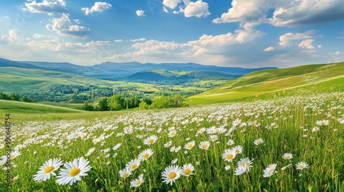 Wallpaper Mural A field of daisies in the foreground with rolling hills in the background and a bright blue sky. Torontodigital.ca