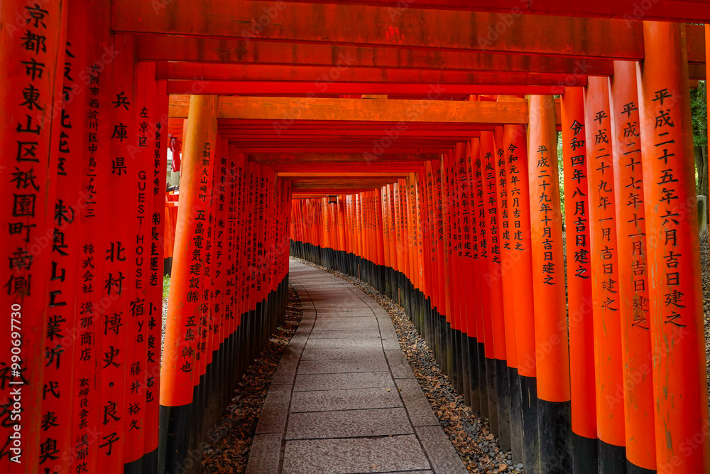 Fototapeta premium japanese shrine in kyoto country, Torii corridor, Fushimi Inari Taisha