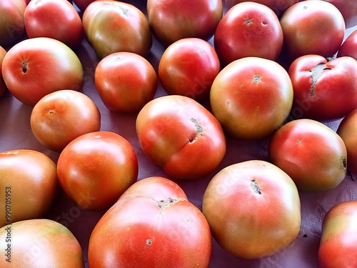 Tomates rojos para la ensalada 